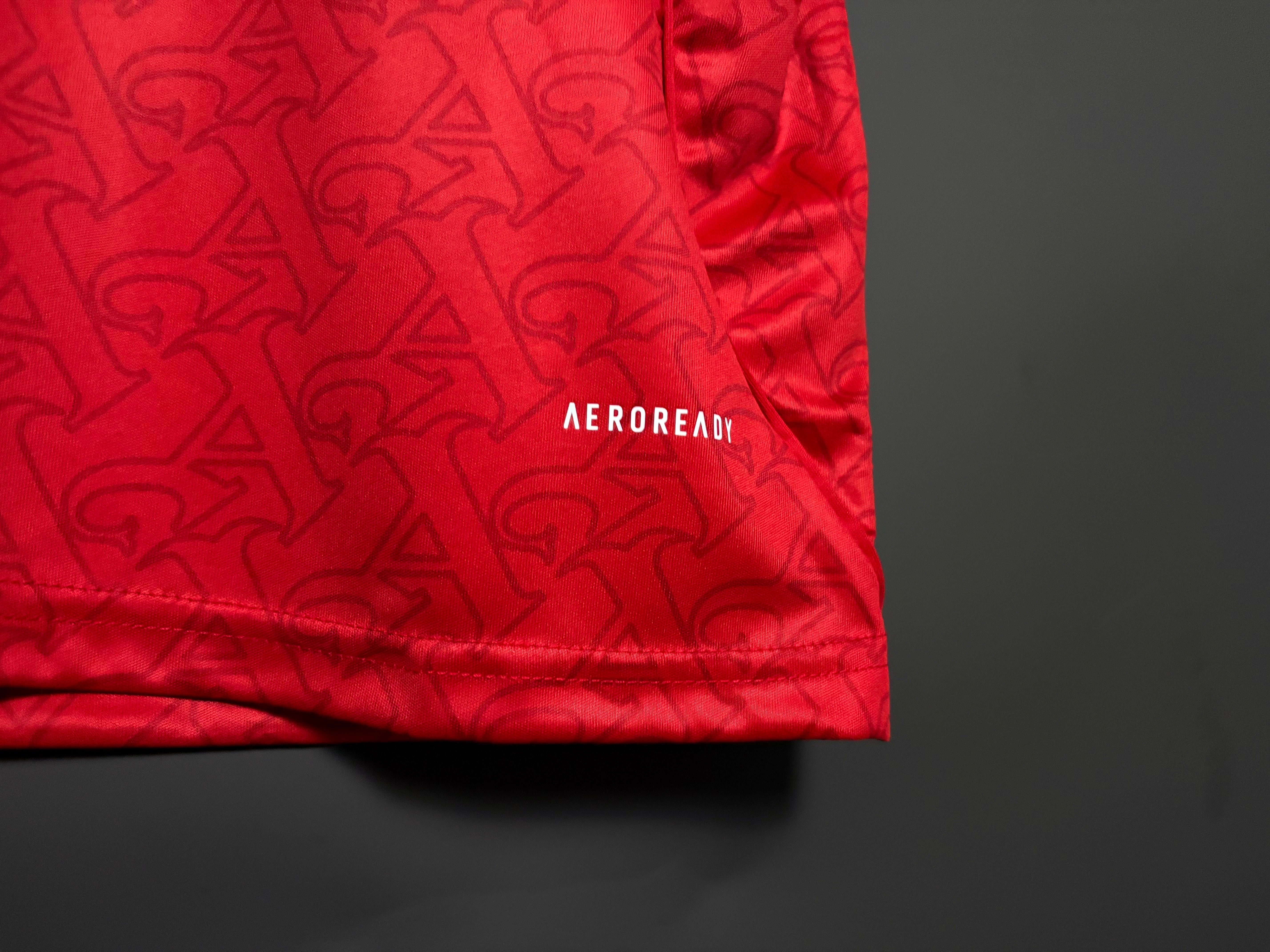Arsenal Hemmatröja