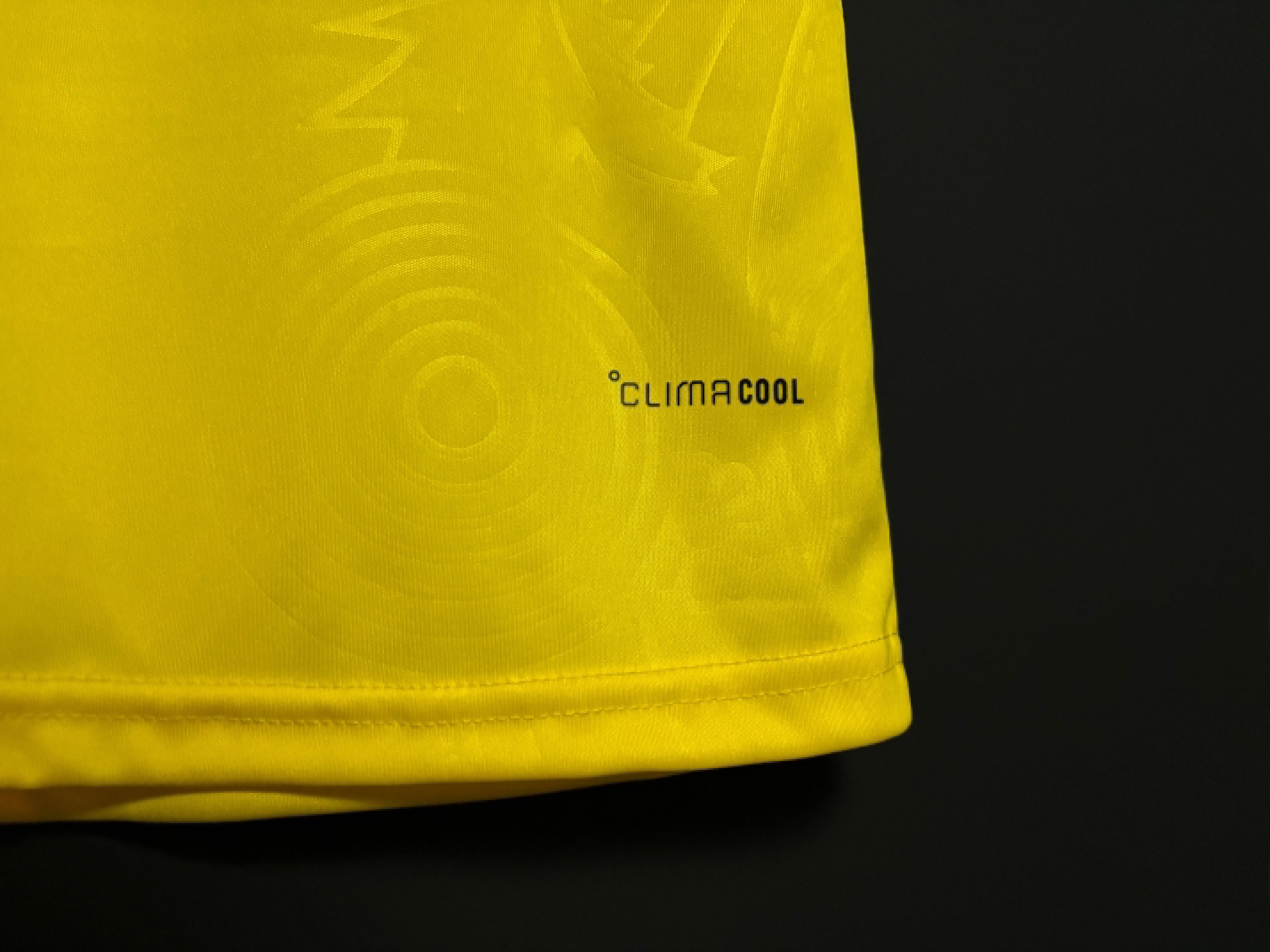 Schwedisches Heimtrikot